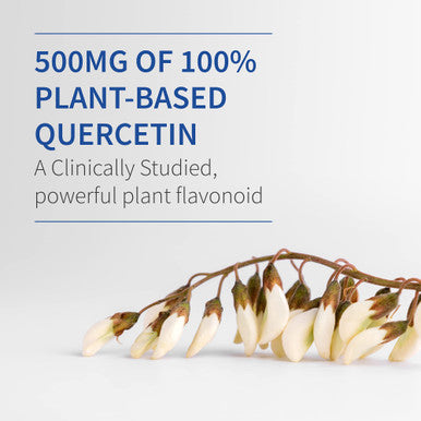 Garden of Life Quercetin Post Workout Recovery With Zinc Turmeric & Green Tea Dr Formulated Healthy Inflammatory Response & Joint Support - Gluten Free Non Gmo Carbon Neutral 30 Tablets