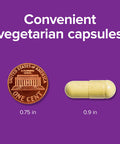 Webber Naturals Quercetin Supplement 500 mg Per Pill 140 Vegetarian Capsules PlantBased Immune Support Antioxidant Supplement Gluten and Dairy NonGMO Suitable for Vegans