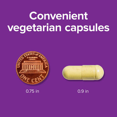 Webber Naturals Quercetin Supplement 500 mg Per Pill 140 Vegetarian Capsules PlantBased Immune Support Antioxidant Supplement Gluten and Dairy NonGMO Suitable for Vegans