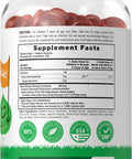 Vegan Omega 3 6 7 9 Gummies For Kids | 120 Count | Natural Peach Flavor | Non-Gmo, Gluten Free, And Sugar Free | By Lil' Sprouts