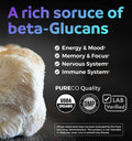 PURE CO Organic Lions Mane Supplement Capsules USDA Organic Mushroom Supplement Capsules with 1000mg Lion's Mane 10:1 Extract per Serving with 30% Polysaccharides Vegan and Non GMO 1 Month Supply