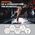 Genius Pre Workout Powder, Blue Raspberry - All- Nootropic Pre-workout & -Free Nitric Oxide Booster Supplement with Beta Alanine & Alpha GPC - No Flavors, Sweeteners, or Dyes