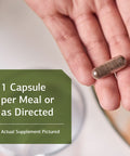 Standard Process St John'S Wort-Imt - Whole Food Mental Health And Stress Relief With Organic Carrot, Alfalfa, Carrot Oil, Calciu