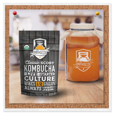 Fermentaholics Kombucha Scoby - Live Starter Culture Start A Half Gallon Batch Six Ounces Of Strong Mature Starter Tea - Brew Your Own Kombucha