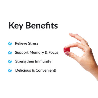 Force Factor Amazing Ashwa for Relief, Memory, Focus, and Immune Support Health, Ashwaganda Supplement with KSM-66 Ashwagan for , 180 Soft Chews