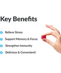 Force Factor Amazing Ashwa for Relief, Memory, Focus, and Immune Support Health, Ashwaganda Supplement with KSM-66 Ashwagan for , 120 Soft Chews