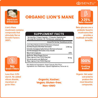 Organic Lions Mane Mushroom Capsules - Nootropic Brain Supplement for Strong Cognitive Support, Intense Focus, Memory Booster for Mental Clarity - Lions Mane Mushroom Supplement - Lion's Mane 90 Count