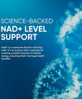 Nad+ Supplement, Nad+&Resveratrol Supplement For Max Absorption For Support Cellular Energy, Aging Defense, 120 Softgels
