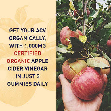 Garden of Life Mykind Organics Apple Cider Vinegar Energy Gummies - Usda Organic Acv Gummy Vitamins For Energy With Vitamin B12 Coffeeberry Green Tea - 63 Vegan Gummies For Mental Focus & Clarity