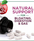 Nature'S Nutrition Apple Cider Vinegar Capsules for Detox & Cleanse - 1877mg per Serving - ACV Pills with Digestion Gut Health & Natural Weight Support - Extra Strength - Non-GMO Supplement - 60 Vegetarian Capsules
