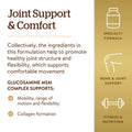 Solgar Glucosamine Msm Complex 120 Tablets - Promotes Healthy Joints - Supports Range Of Motion & Flexibility - Supports Collagen - Shellfish-Free - Gluten Free Dairy Free Kosher - 40 Servings