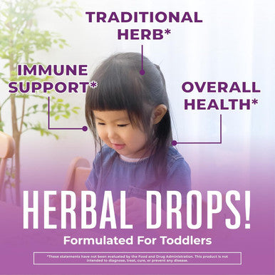 Maryruth Organics Toddler Elderberry Syrup USDA Organic Elderberry Sugar Kids Immune Support Supplement for Ages 1-3 Years Clean Label Project Verified Vegan Non-GMO Gluten 1 Fl Oz