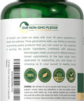 Carlyle Olive Leaf Extract Capsules | 9000mg | 100 Count | Non-GMO Gluten | High Potency Supplement