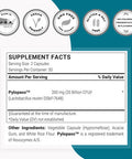 Supers Mart - H. Pylori Fight Natural Treatment 20 Billion Cfu Per Day (Probiotic Lactobacillus Reuteri) - Gastric Acid Reflux Relief - Stomach Repair | Non-Gmo & Gluten Free - 60 Vegetarian Capsules