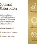 Solgar L-Lysine 500 Mg 250 Vegetable Capsules - Enhanced Absorption & Assimilation - Promotes Integrity Of Skin & Lips - Collagen Support - Amino Acids - Non-Gmo Vegan Gluten Free - 250 Servings