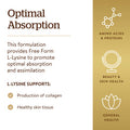 Solgar L-Lysine 500 Mg 250 Vegetable Capsules - Enhanced Absorption & Assimilation - Promotes Integrity Of Skin & Lips - Collagen Support - Amino Acids - Non-Gmo Vegan Gluten Free - 250 Servings