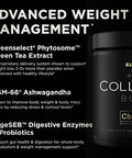 ELMNT Premium Chocolate Collagen for Women Weight Loss & Beauty w. Probiotics, ACV, KSM66, Hyaluronic Acid, Biotin & Patented Multi Collagen Peptides Protein Powder - Colageno Hidrolizado for Women