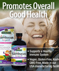 Nature'S Answer Sambucus Syrup Elderberry Kids Formula 8 Ounce | Natural Immune Booster | Taste That Kids Love | Flu Season Support | Packed with Antioxidants