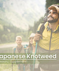 PURE ORIGINAL INGREDIENTS Japanese Knotweed, (100 Capsules) Always Pure, No Additives Or Fillers, Lab Verified