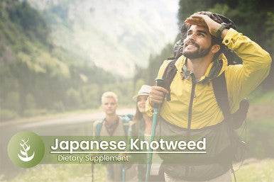PURE ORIGINAL INGREDIENTS Japanese Knotweed, (100 Capsules) Always Pure, No Additives Or Fillers, Lab Verified