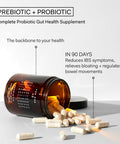 The Nue Co. Natural Prebiotic Probiotic IBS Relief Supports Gut Health Immunity and Skin Spore Based Bacteria Vegan Organic TimeDelayed 60 Capsules