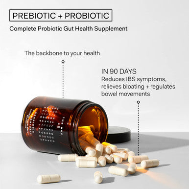 The Nue Co. Natural Prebiotic Probiotic IBS Relief Supports Gut Health Immunity and Skin Spore Based Bacteria Vegan Organic TimeDelayed 60 Capsules