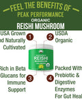 Organic Reishi Mushroom Powder - Usa Grown Made With Organic Reishi Mushrooms. Vegan Supplement For Immunity Support. Naturally