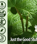 Nature's Answer Af Goldenseal Root 1 oz