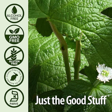 Nature's Answer Af Goldenseal Root 1 oz