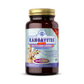 Solgar Kangavites Bouncin Berry Flavor - 120 Chewable Tablets - Complete Multivitamin & Mineral Formula For Children - Vegan Gluten Free