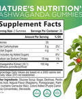 Nature'S Nutrition Ashwagandha Gummies for Women & Men 3000mg Equivalent Best Ashwagandha Supplement for Natural Antioxidant Support Energy & Immune Support Vegan Ashwa Root Extract Supplements Calm Gummy - 60 Count