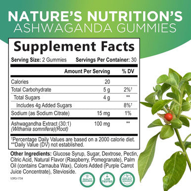 Nature'S Nutrition Ashwagandha Gummies for Women & Men 3000mg Equivalent Best Ashwagandha Supplement for Natural Antioxidant Support Energy & Immune Support Vegan Ashwa Root Extract Supplements Calm Gummy - 60 Count