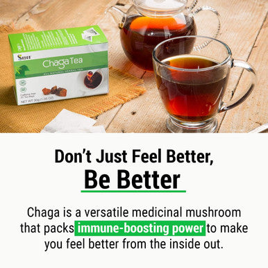 Sayan Siberian Chaga Mushroom Tea (Unbleached 20 Tea Bags, Caffeine Free) Exclusive blend of Raw + Extract, Wild Harvested Herbal Supplement and Natural Antioxidant