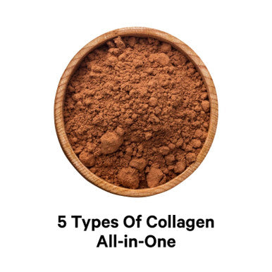 Codeage Multi Collagen Peptides Protein Powder, Chocolate Mocha Instant Coffee - Low Calories Drink & Shake - Collagen Type I, II, III, V & X - Grass-Fed, Pasture-Raised, Hydrolyzed, Non-GMO - 14.39oz