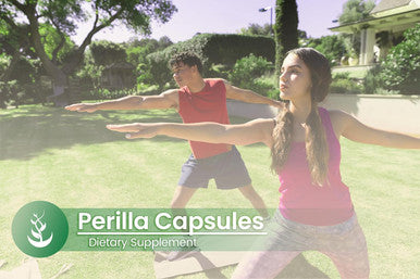 PURE ORIGINAL INGREDIENTS Perilla, (100 Capsules) Always Pure, No Additives Or Fillers, Lab Verified