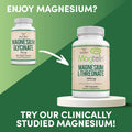 Magnesium Glycinate 400Mg, 180 Capsules (Vegan Safe, Third Party Tested, Gluten Free, Non-Gmo) High Absorption Magnesium By Double Wood Supplements