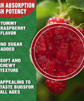 High Absorption Calcium Magnesium Zinc Gummies, Sugar Calcium Magnesium Zinc Supplement With D3 Bone & Teeth Strength Muscle & Nerve Function Vegan Raspberry Flavor 2 Pack