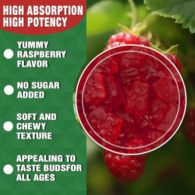 High Absorption Calcium Magnesium Zinc Gummies, Sugar Calcium Magnesium Zinc Supplement With D3 Bone & Teeth Strength Muscle & Nerve Function Vegan Raspberry Flavor 2 Pack