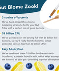 ZookiÃƒâ€šÃ‚Â® Gut Biome | Advanced Multi Strain Probiotics | Gut Health Digestive System - (Blueberry Lemon Flavour 30 Servings Pack of 1)
