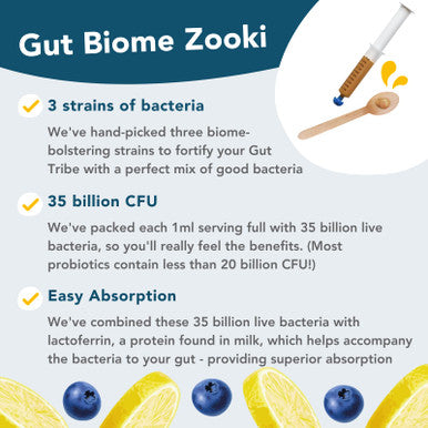 ZookiÃƒâ€šÃ‚Â® Gut Biome | Advanced Multi Strain Probiotics | Gut Health Digestive System - (Blueberry Lemon Flavour 30 Servings Pack of 1)