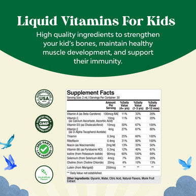 Liquid Multivitamin for Kids Immunity Support - Toddler Multivitamin Supplement with A C D3 E B1 B2 B3 B6 and D3 Liquid Vitamins for Kids and Infants - Liquid Multivitamin Drops with DHA for Kids