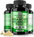 Sea Moss Capsules with Raw Sea Moss, Wildcrafted Bladderwrack, Burdock Root | 120 Counts Irish Seamoss Supplement Pills, Super Food for Immune System Digestive Health