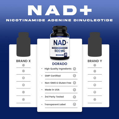 DORADO NUTRITION Nad Supplement 500Mg Of 95% Pure Nad+ Per Serving 30 Day Supply Nad Booster Similar To Nicotinamide Riboside Third Party Tested Vegan Safe Non Gmo No Fillers and Made In The Usa