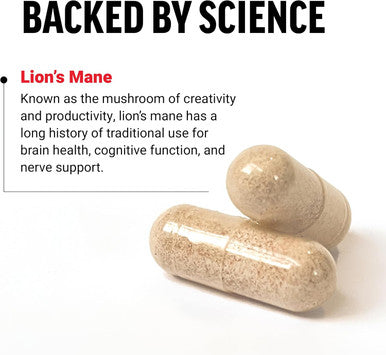 Force Factor Lion s Mane Supplement Capsules Memory & Focus Supplement Supports Nerve Health & Cognitive Function Made with 100% Fruiting Body Vegan No Gelatin Non-GMO 60 Vegetable Capsules