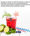 Biotrust Mojo H2O Natural Water Enhancer Drops B Vitamins And Electrolytes Sugar- Zero Calories Naturally Flavored & Sweetened (Strawberry Watermelon 4 Pk)