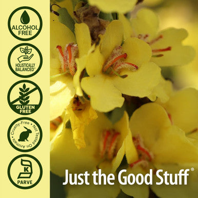 Nature'S Answer Alcohol- Mullein Flower Ear Oil