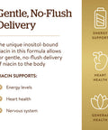Solgar No-Flush Niacin 500 Mg 250 Vegetable Capsules - Cardiovascular Support - Supports Energy Metabolism - No-Flush Delivery - Vegan Gluten Free Dairy Free Kosher - 250 Servings