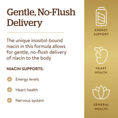 Solgar No-Flush Niacin 500 Mg 250 Vegetable Capsules - Cardiovascular Support - Supports Energy Metabolism - No-Flush Delivery - Vegan Gluten Free Dairy Free Kosher - 250 Servings
