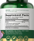 Carlyle Banaba Leaf Extract Capsules 600mg | 200 Count | Non-GMO Gluten