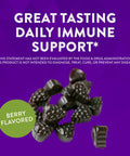 Nature'S Way Sambucus Elderberry Immune Gummies, Daily Immune Support For Kids And Adults*, With Vitamin C, Vitamin D3, Zinc, Gluten Free, Vegetarian, 60 Gummies (Packaging May Vary)